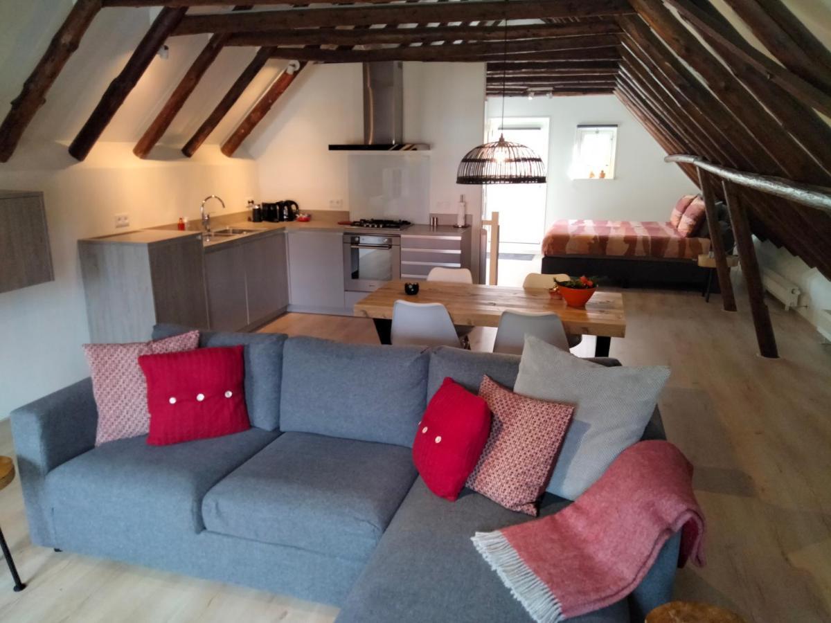 Appartement Badnieuweschans Bad Nieuweschans Zewnętrze zdjęcie